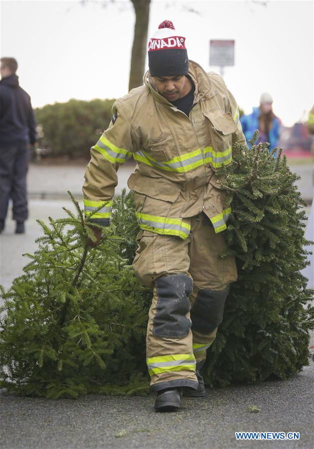 CANADA-RICHMOND-CHRISTMAS TREE-CHIPPING