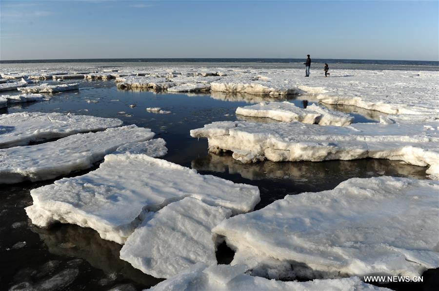 #CHIAN-LIAONING-SEA ICE (CN)