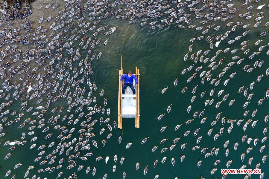 XINHUA-PICTURES OF THE YEAR 2017-CHINA 