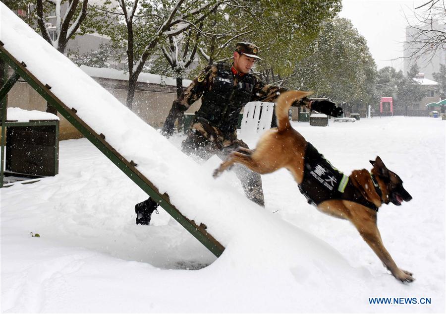 #CHINA-HEFEI-POLICE DOG (CN)