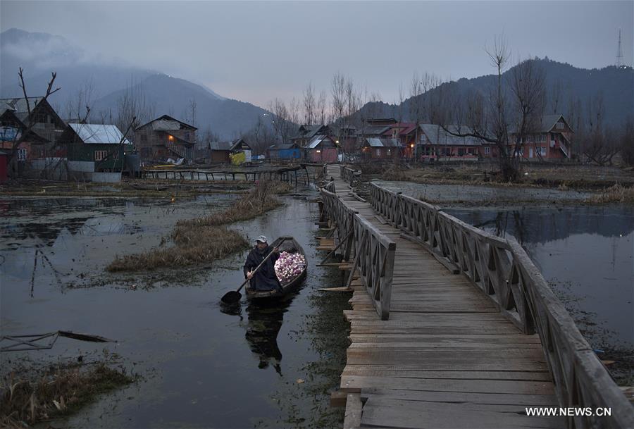 KASHIMIR-SRINAGAR-COLD WEATHER