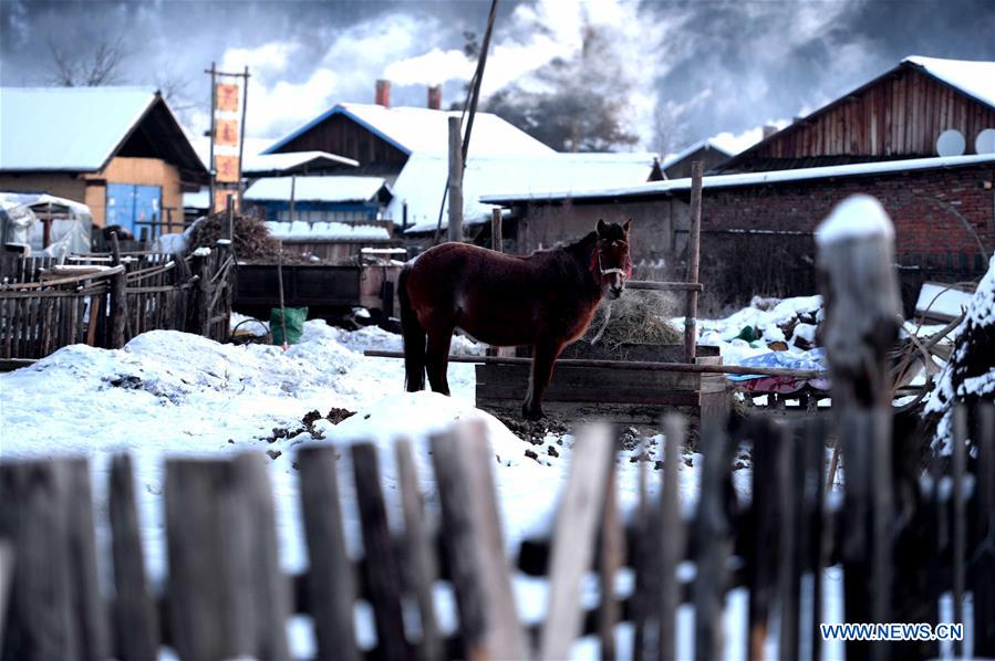 CHINA-HEILONGJIANG-MOHE-BEIJI VILLAGE-SCENERY (CN)