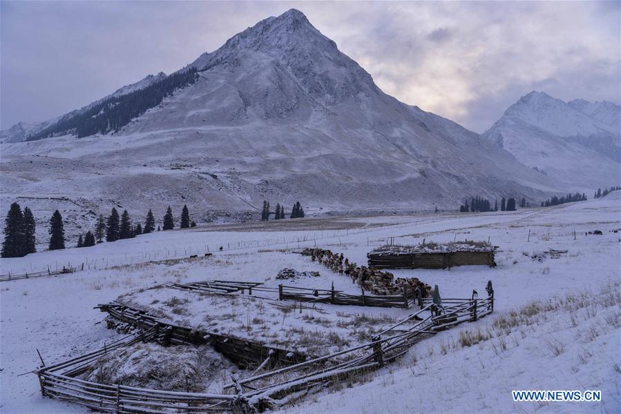 CHINA-XINJIANG-AKYAZ VALLEY-WINTER GRAZING (CN)