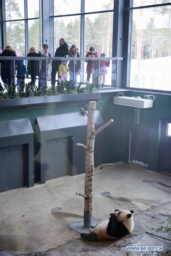 FINLAND-AHTARI ZOO-GIANT PANDAS