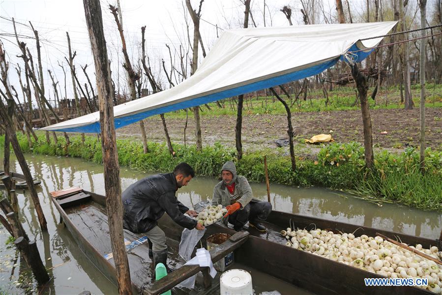 INDIAN-CONTROLLED KASHMIR--SRINAGAR-WEATHER-RAINS