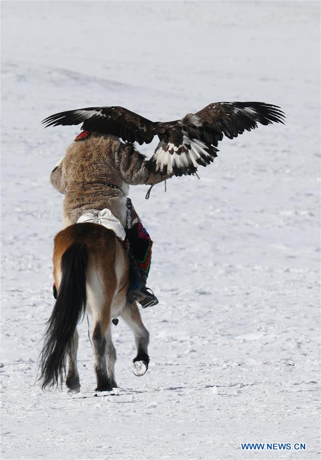 MONGOLIA-ULAN BATOR-SPRING GOLDEN EAGLE FESTIVAL