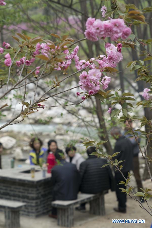 CHINA-HUBEI-SPRING-VIEWS (CN)