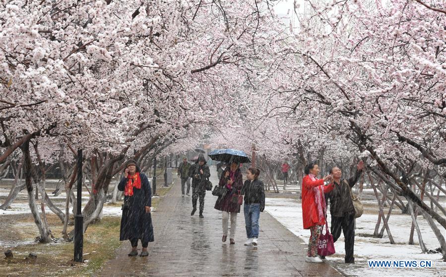 CHINA-HOHHOT-SNOWFALL (CN)