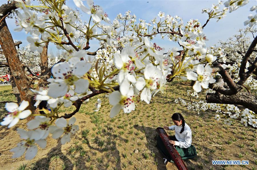 #CHINA-TIANJIN-SPRING GARDEN PARTY (CN)