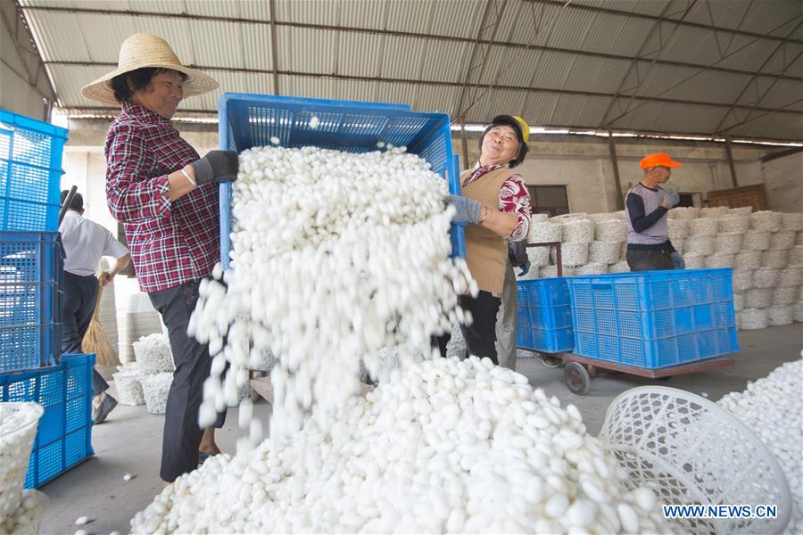 #CHINA-JIANGSU-SILK INDUSTRY (CN)