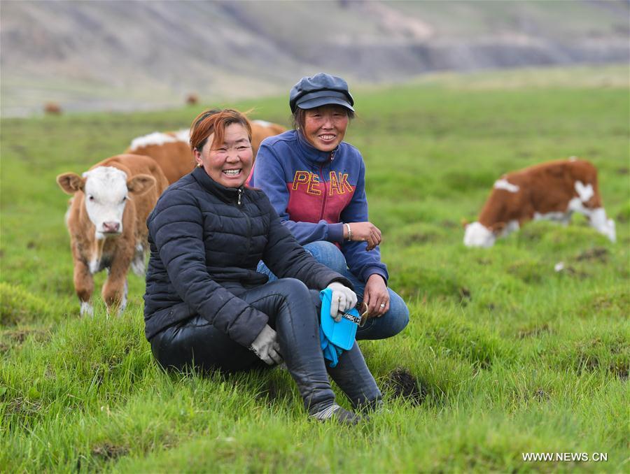 CHINA-INNER MONGOLIA-LIVESTOCK TRANSFER-SUMMER PASTURE (CN)