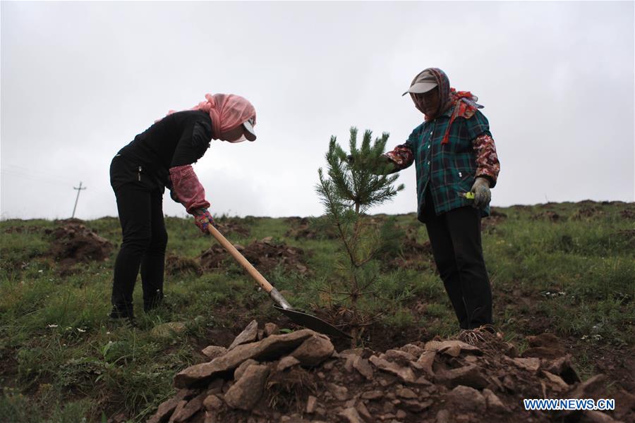 #CHINA-HEBEI-FENGNING-AFFORESTATION (CN)