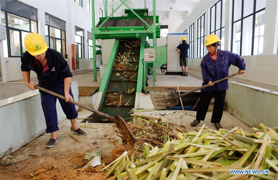 CHINA-ZHEJIANG-ANJI-GARBAGE SORTING (CN)