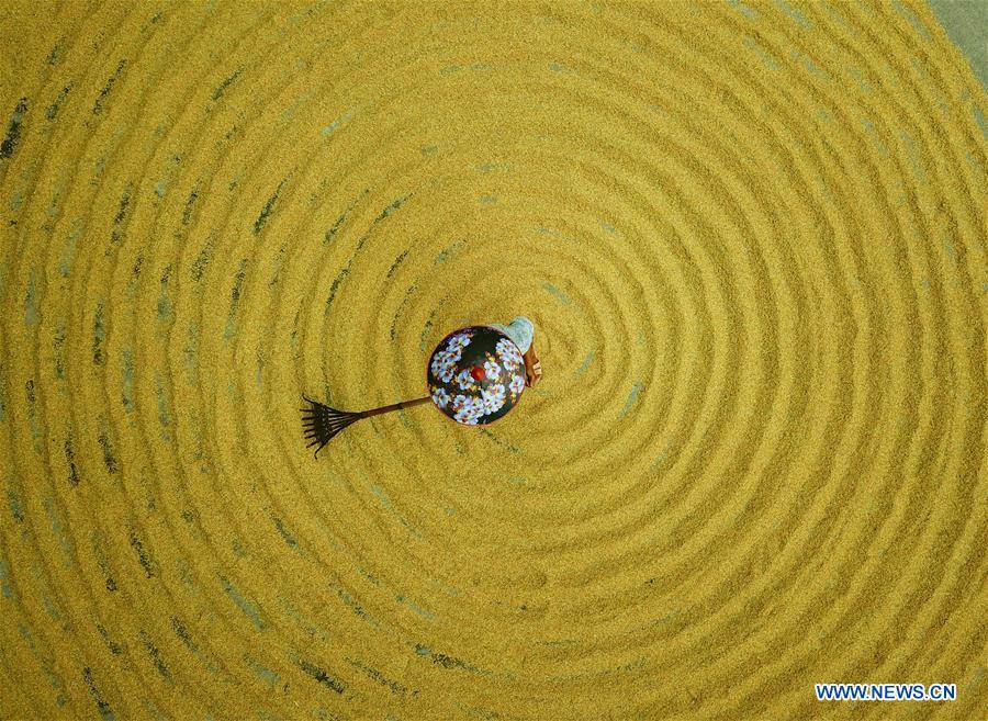 #CHINA-GUIZHOU-FARM WORK (CN)