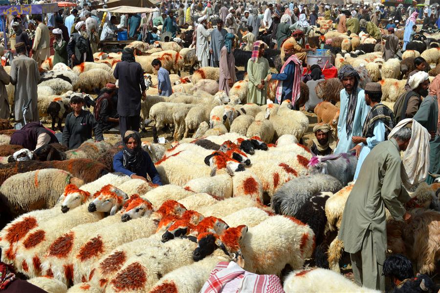 PAKISTAN-QUETTA-EID AL-ADHA-LIVESTOCK MARKET