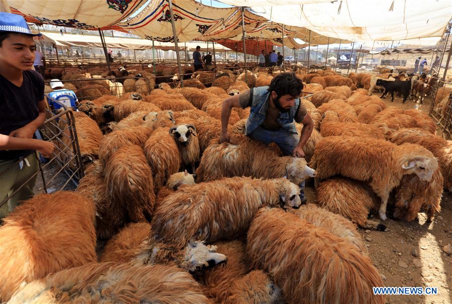 JORDAN-AMMAN-EID AL ADHA-FESTIVAL-PREPARATION