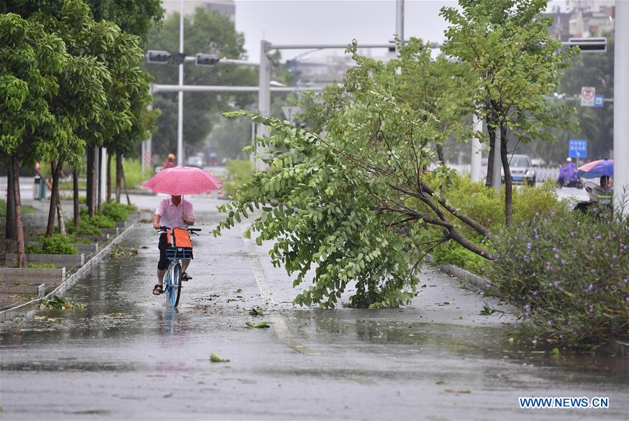 CHINA-GUANGXI-TYPHOON MANGKHUT(CN)