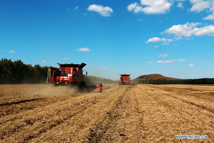 #CHINA-GRAIN YIELD-BUMPER HARVEST YEAR(CN)