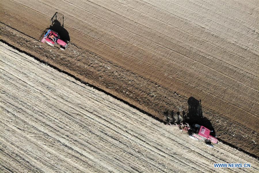 CHINA-HEBEI-FARMWORK (CN)