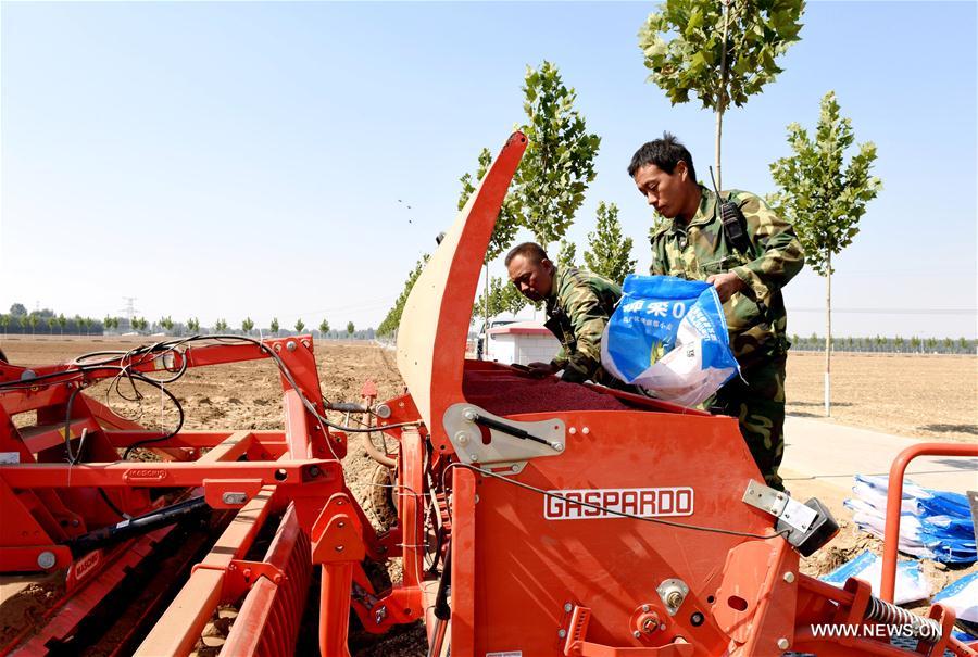 CHINA-HEBEI-XINGTAI-FARM WORK (CN)