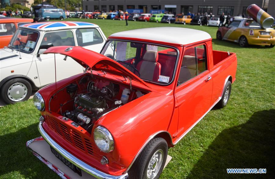 NEW ZEALAND-WELLINGTON-MINI COOPER-SHOW