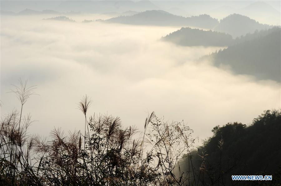 CHINA-GUIZHOU-TONGREN-ADVECTION FOG (CN)