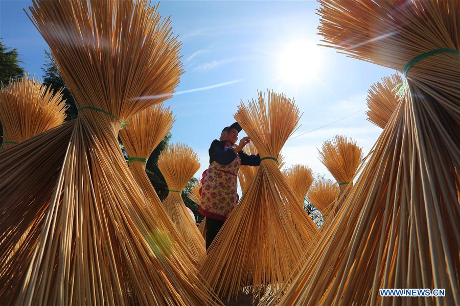 #CHINA-GUIZHOU-CHISHUI-BAMBOO (CN)