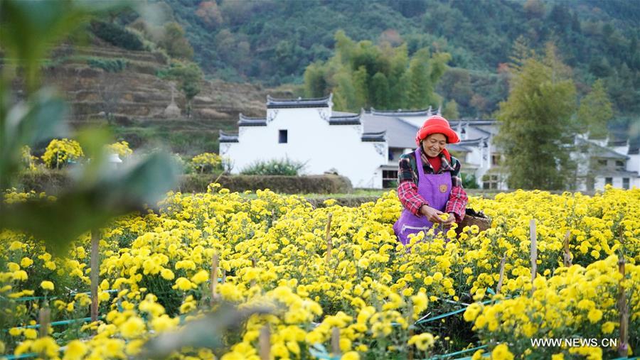 CHINA-JIANGXI-WUYUAN-LIFE(CN)