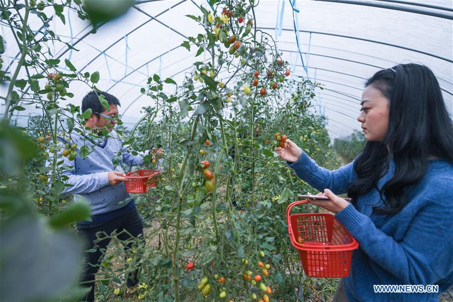 CHINA-ZHEJIANG-DONGLIN-ECOLOGICAL AGRICULTURE (CN)