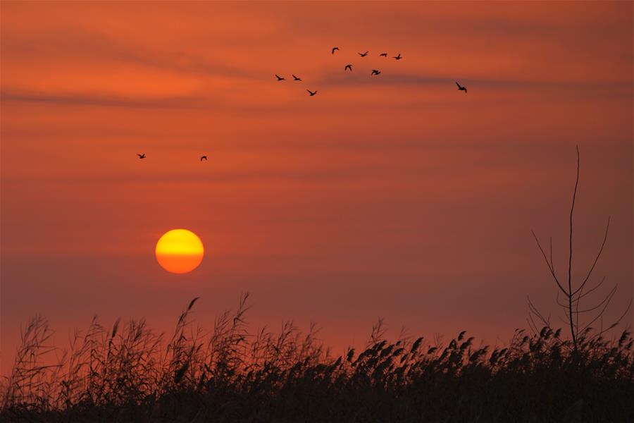 CHINA-HEBEI-BAIYANGDIAN-SUNRISE (CN)