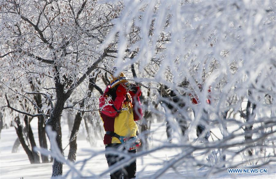 #CHINA-INNER MONGOLIA-FROST (CN)