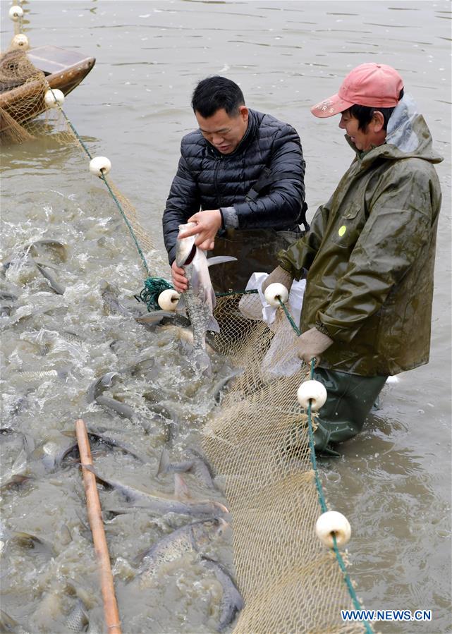 CHINA-JIANGXI-NANCHANG-FISHING (CN)