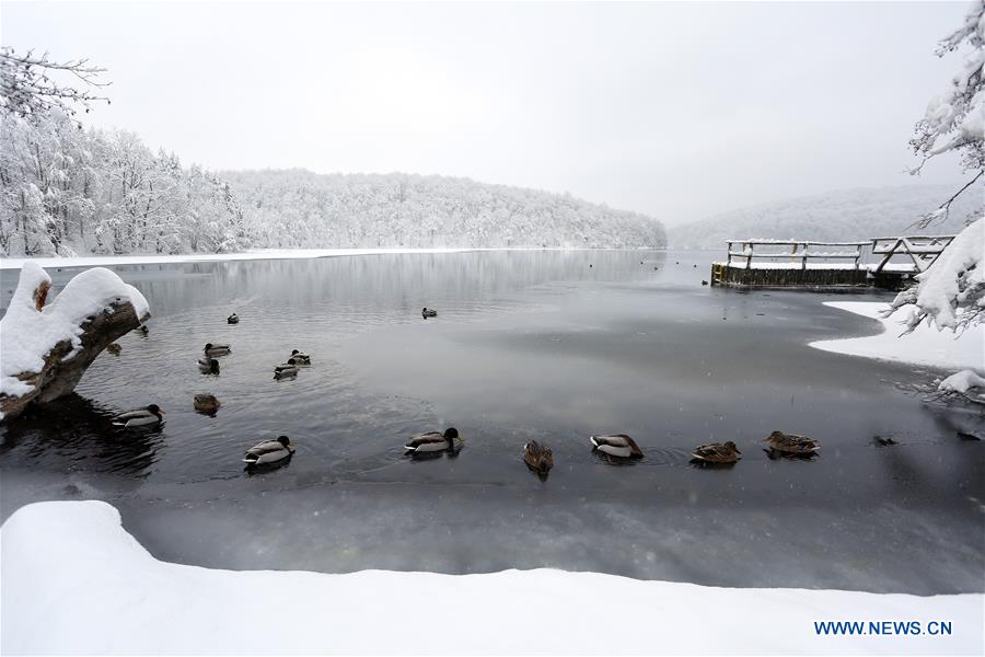 CROATIA-PLITVICE LAKES NATIONAL PARK-SNOW