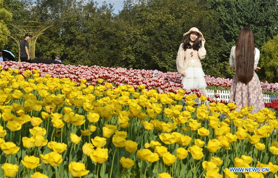 #CHINA-SPRING FESTIVAL-BLOSSOM (CN)