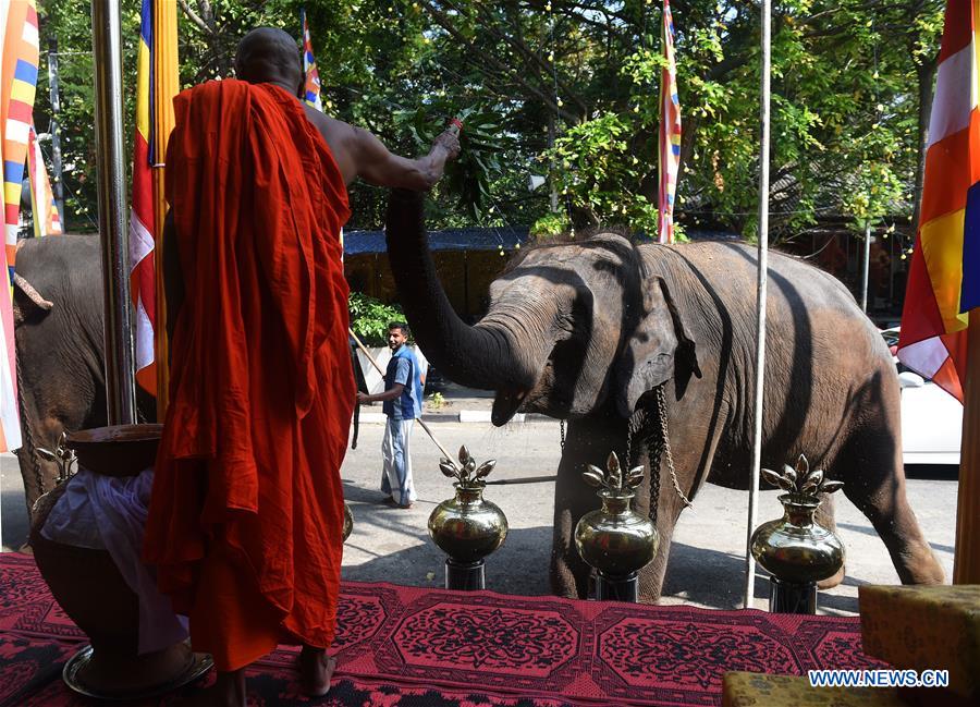 SRI LANKA-COLOMBO-NAVAM-ELEPHANTS