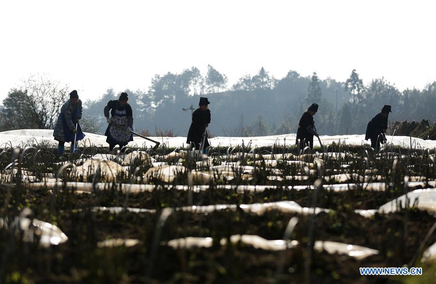 #CHINA-EARLY SPRING-AGRICULTURE (CN) 