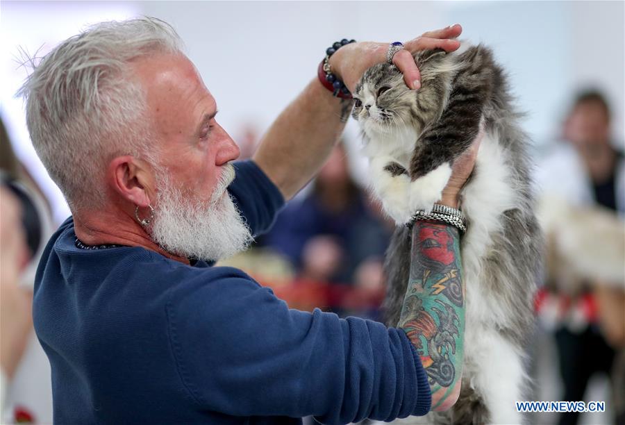 CROATIA-ZAGREB-INTERNATIONAL CAT EXHIBITION