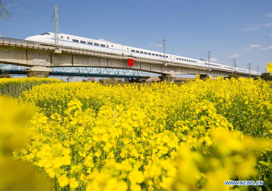 #CHINA-JIANGSU-COLE FLOWERS (CN)