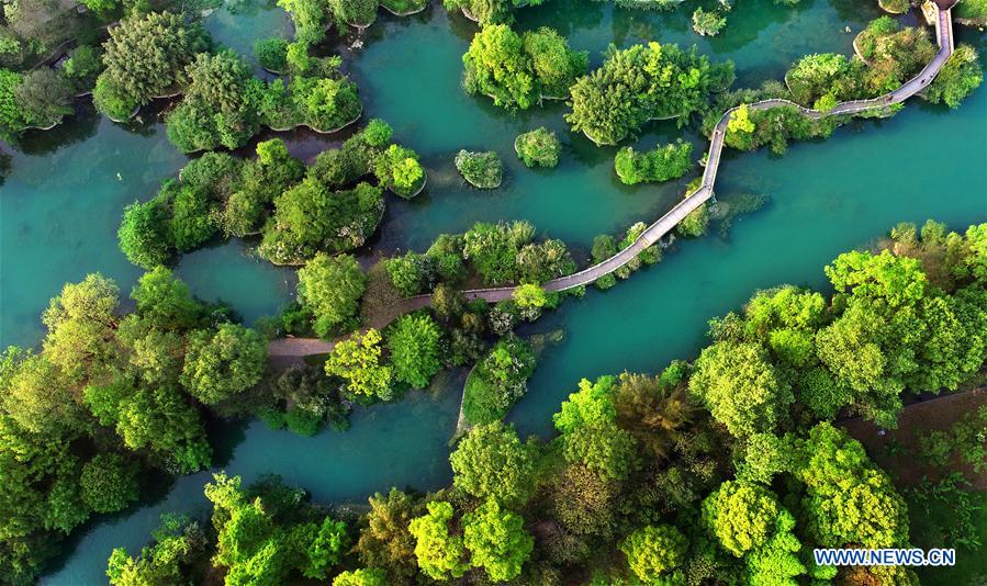 #CHINA-SPRING-SCENERY(CN)