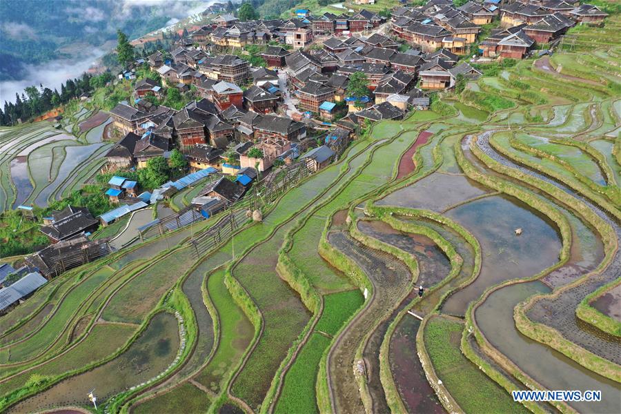 #CHINA-GUIZHOU-TERRACED FIELDS (CN)