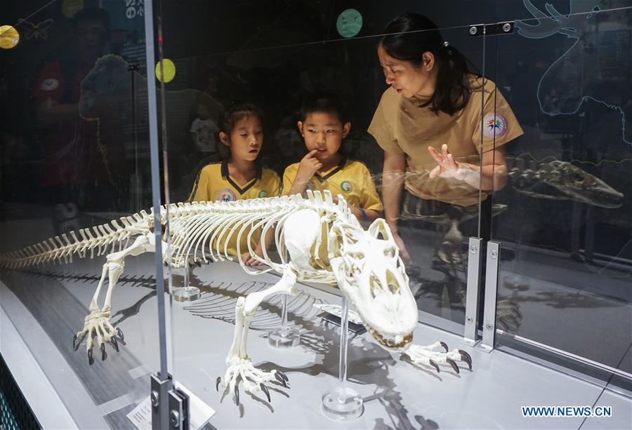 CHINA-GUANGDONG-SCIENCE-DINOSAUR-EXHIBITION (CN)