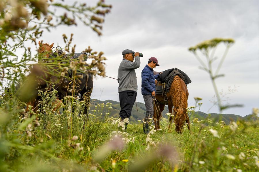 CHINA-XINJIANG-AGARSIN-PRAIRIE-MANAGER (CN)