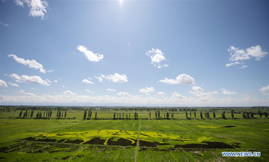 CHINA-XINJIANG-QAPQAL-RICE FIELDS-TOURISM (CN)