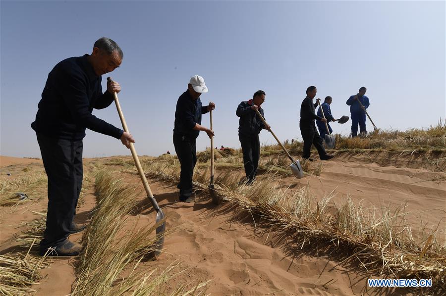 (EcoChina)CHINA-HORTICULTURAL EXPO-GANSU (CN)