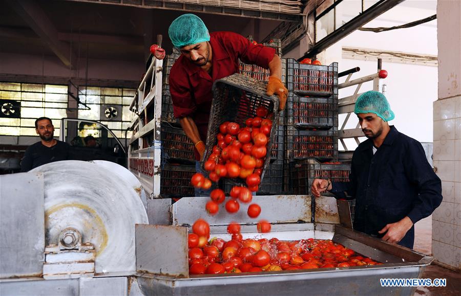 SYRIA-DAMASCUS-TOMATO-PASTE-MAKING