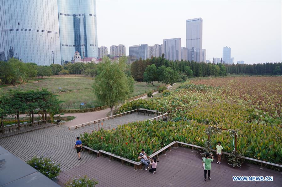 CHINA-JIANGXI-NANCHANG-PARK-LIBRARY (CN)