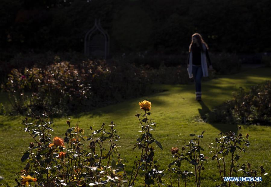 BRITAIN-ABERDEEN-AUTUMN