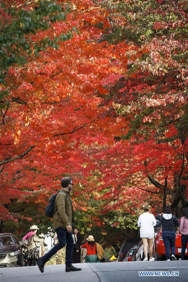 CANADA-VANCOUVER-AUTUMN SCENERY