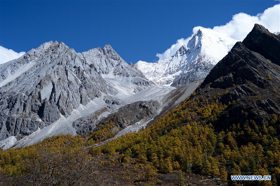 CHINA-SICHUAN-DAOCHENG- AUTUMN SCENERY (CN)