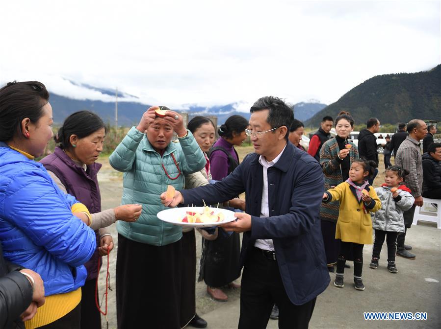 CHINA-TIBET-NYINGCHI-APPLE-TRAINING (CN)